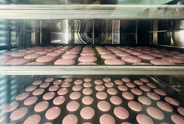 🍬 從手心開始的甜:拾參馬卡龍烘焙日誌