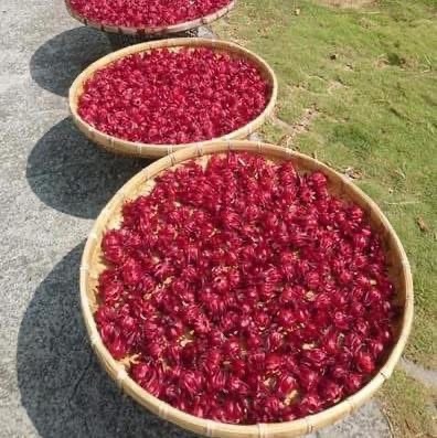 當今年走到最後一頁,拾參馬卡龍依然想陪你一口溫柔