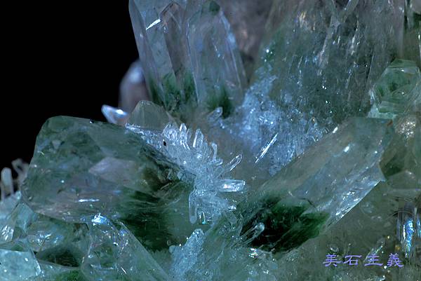 DSC_9500.JPG DSC_9500.JPG