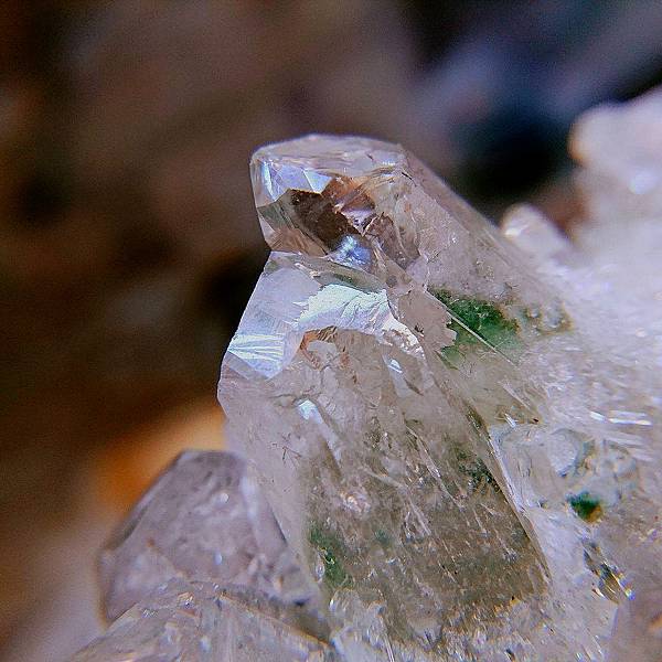 15216240_10206199597508685_506785889_o.jpg 15216240_10206199597508685_506785889_o.jpg