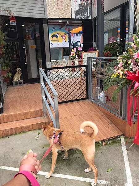 61286403_2168303716539231_6692298885349507072_n.jpg 61286403_2168303716539231_6692298885349507072_n.jpg