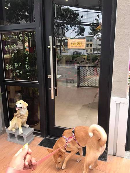 61681138_2168303749872561_2382101343260114944_n.jpg 61681138_2168303749872561_2382101343260114944_n.jpg