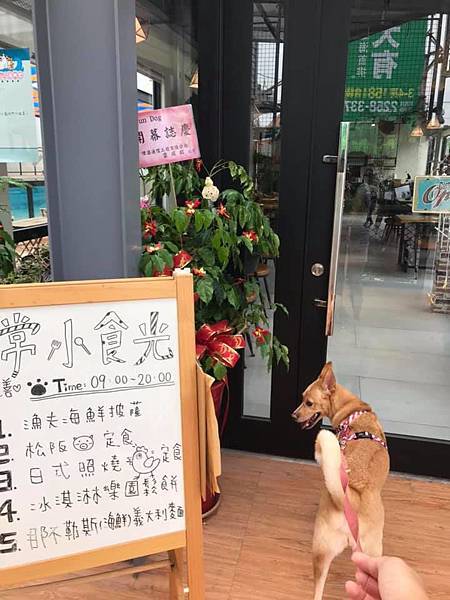 61673625_2168303783205891_5059283548393963520_n.jpg 61673625_2168303783205891_5059283548393963520_n.jpg