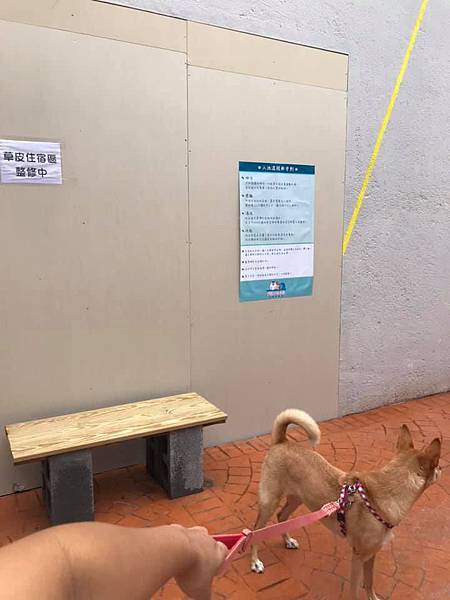 61369307_2168304276539175_4997386068861911040_n.jpg 61369307_2168304276539175_4997386068861911040_n.jpg