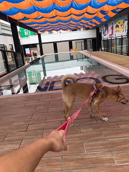 61710034_2168304303205839_7465292706848178176_n.jpg 61710034_2168304303205839_7465292706848178176_n.jpg