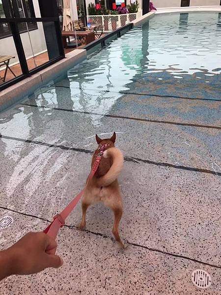 61180813_2168304353205834_7530014376485453824_n.jpg 61180813_2168304353205834_7530014376485453824_n.jpg