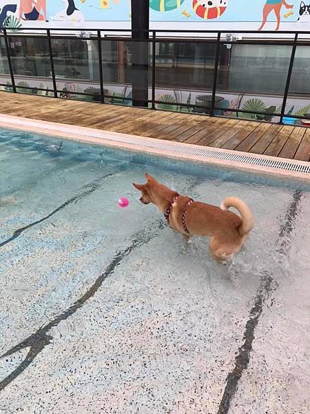 61436299_2168304426539160_8428930896731570176_n.jpg 61436299_2168304426539160_8428930896731570176_n.jpg