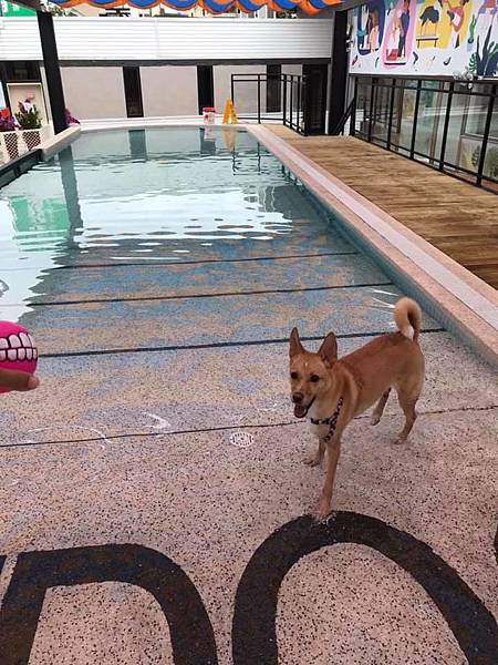 61374499_2168304459872490_1354489005617446912_n.jpg 61374499_2168304459872490_1354489005617446912_n.jpg