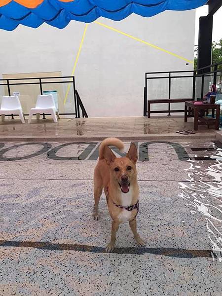 60889182_2168304553205814_7260660725197045760_n.jpg 60889182_2168304553205814_7260660725197045760_n.jpg