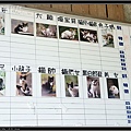 20110227-候硐貓村行040.JPG