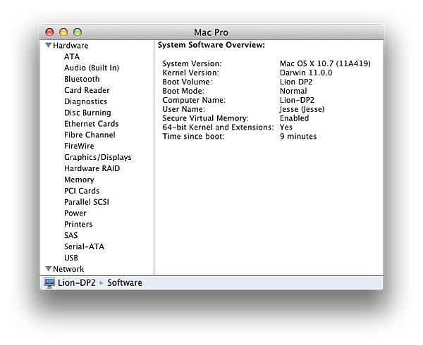 Lion DP2 11A419-System Software Overview.png