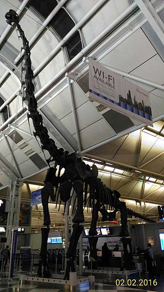 P_20160202_182937_1_p