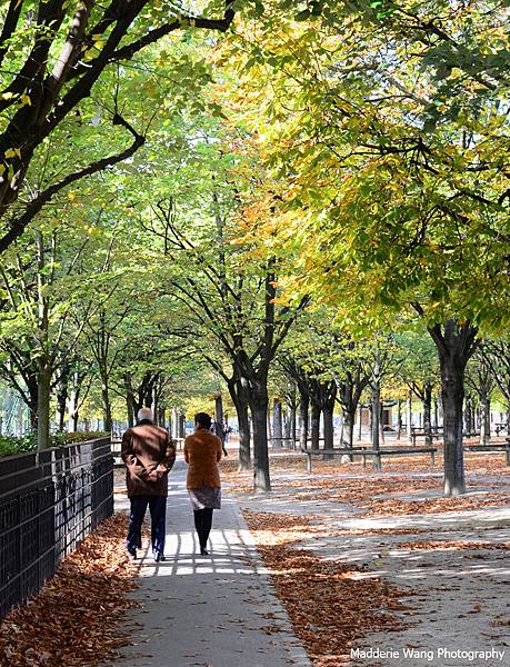 境外漂流-2015-Paris-盧森堡公園散步