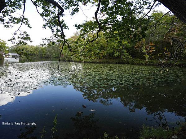 大沼公園