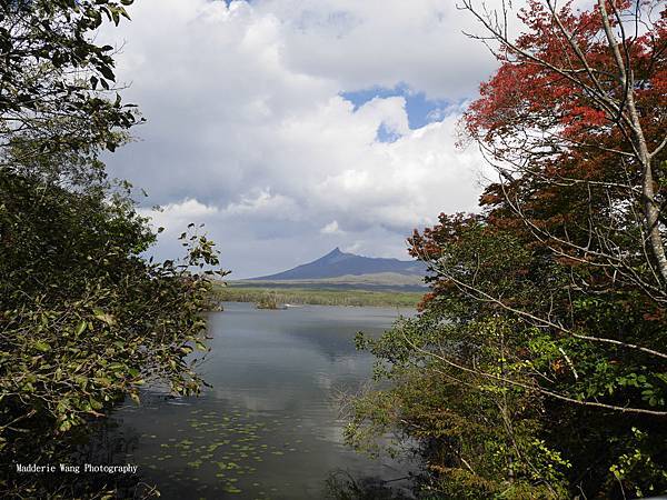 大沼公園