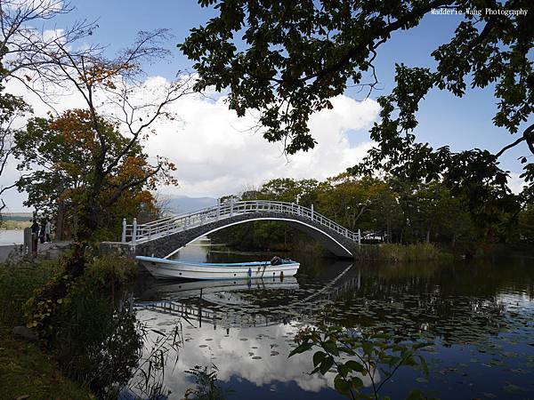 大沼公園