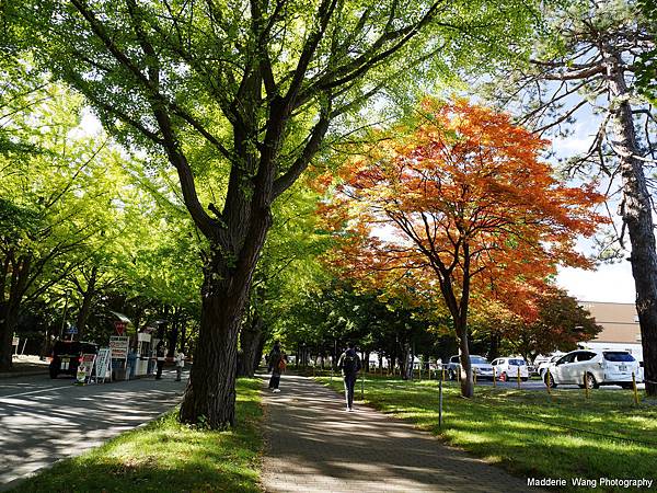 北海道大學