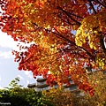 定山溪二見公園