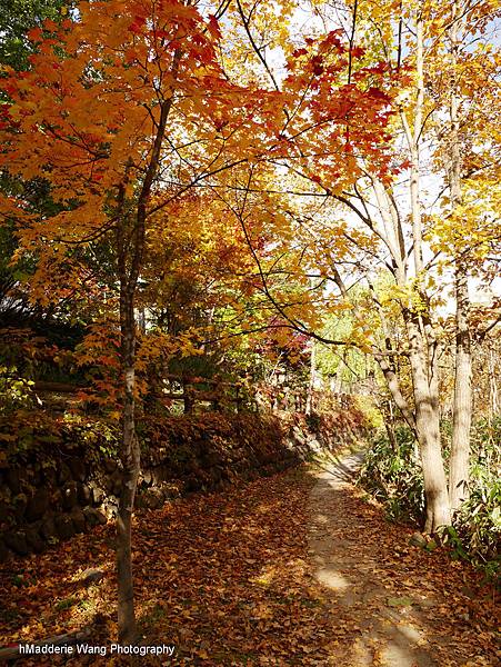 定山溪二見公園