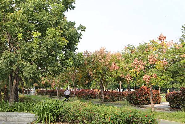 適合騎車散心的衛武營公園 05.jpg