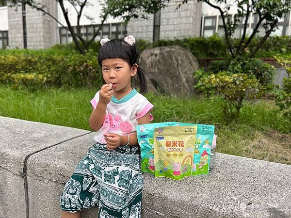 幼兒飲食|怎麼吃都健康的無添加的健康零嘴|台灣純米天然製成-