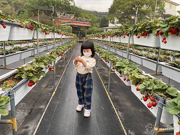 新竹親子住宿|房間就有溜滑梯盪鞦韆-童趣可愛的卡通主題房☆小