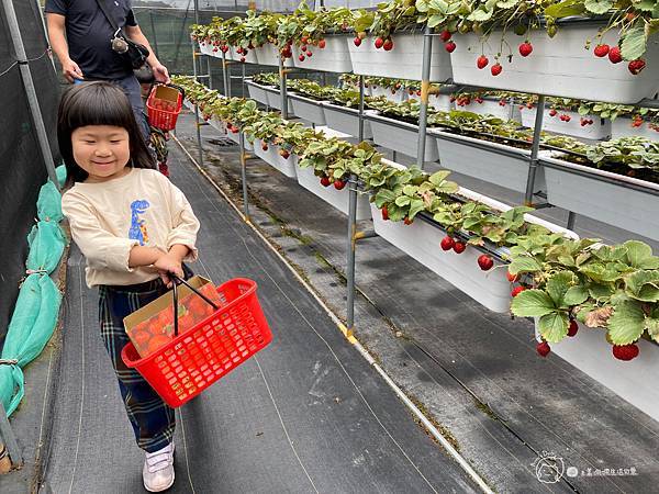 新竹親子住宿|房間就有溜滑梯盪鞦韆-童趣可愛的卡通主題房☆小