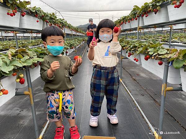 新竹親子住宿|房間就有溜滑梯盪鞦韆-童趣可愛的卡通主題房☆小