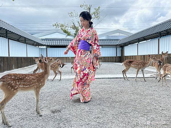 親子旅遊|花蓮吉安鄉|超好拍打卡景點日式庭院免費和服體驗還能