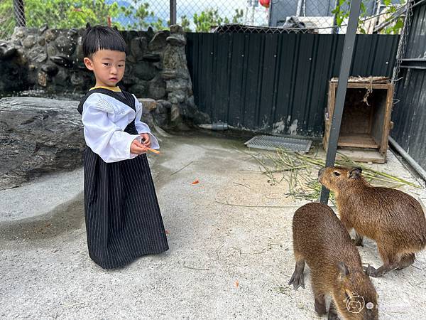 親子旅遊|花蓮吉安鄉|超好拍打卡景點日式庭院免費和服體驗還能