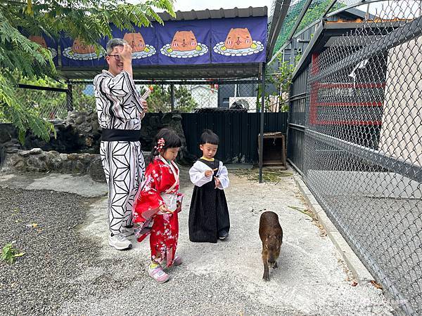 親子旅遊|花蓮吉安鄉|超好拍打卡景點日式庭院免費和服體驗還能