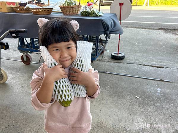 苗栗南庄|親子景點|樂活小農-體驗木瓜採果樂-田在心健康菓舖