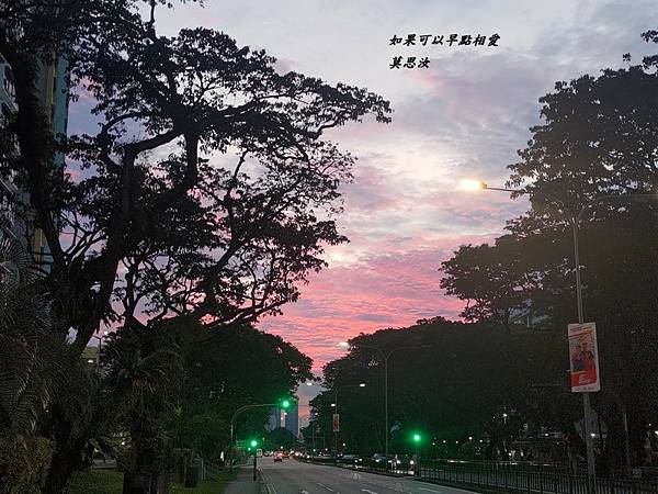 封面-如果可以早點相愛FOR PIXNET.jpg