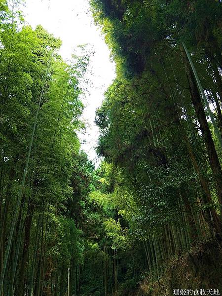 雲嶺之丘五元二角23.jpg