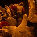 黑暗中的花.JPG