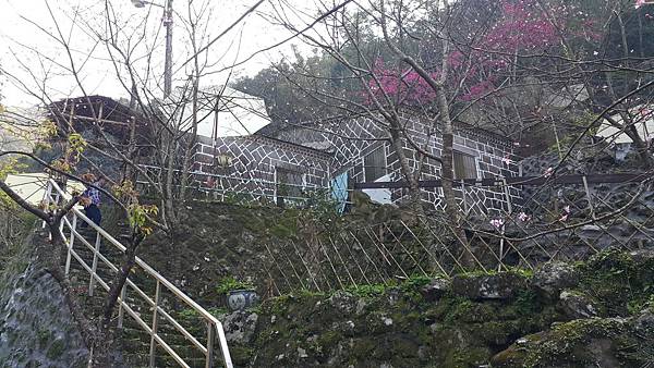 20180218_141944.jpg 20180218_141944.jpg