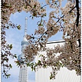 SKYTREE-6.jpg