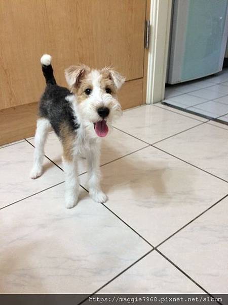 IMG_9194.JPG IMG_9194.JPG