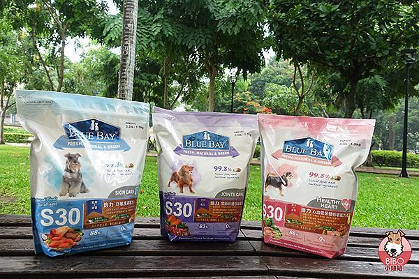 倍力寵物健康食品Blue Bay Pet Food-09-BIBO小妞妞.JPG