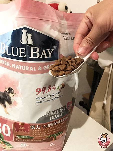 倍力寵物健康食品Blue Bay Pet Food-28-BIBO小妞妞.JPG