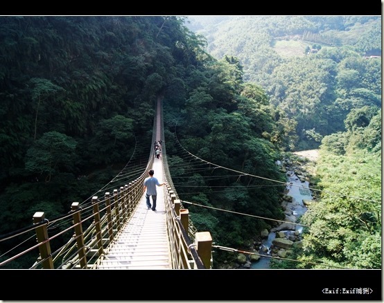 竹山天梯梯子吊橋_28