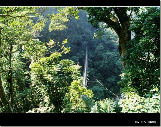 竹山天梯梯子吊橋_21