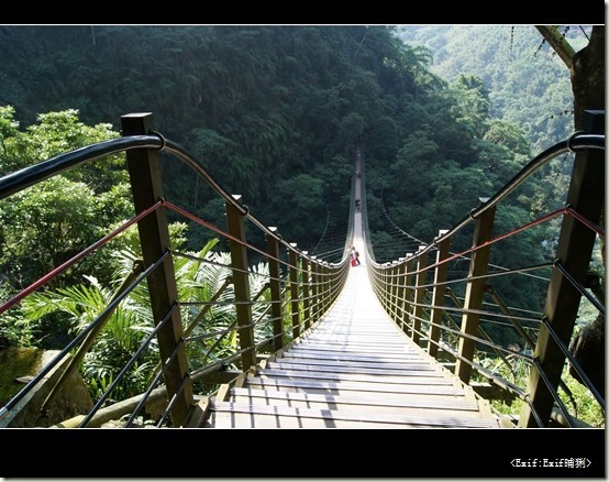 竹山天梯梯子吊橋_26