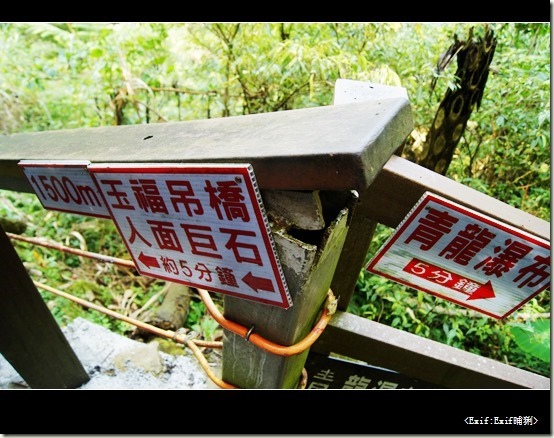 竹山天梯梯子吊橋_37