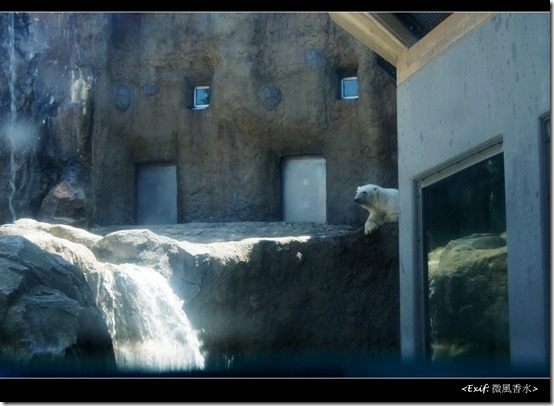 北海道旭川市旭山動物園_17