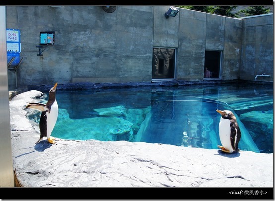 北海道旭川市旭山動物園_55