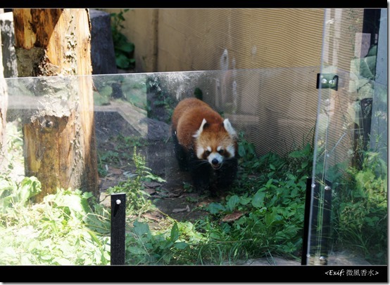 北海道旭川市旭山動物園_70