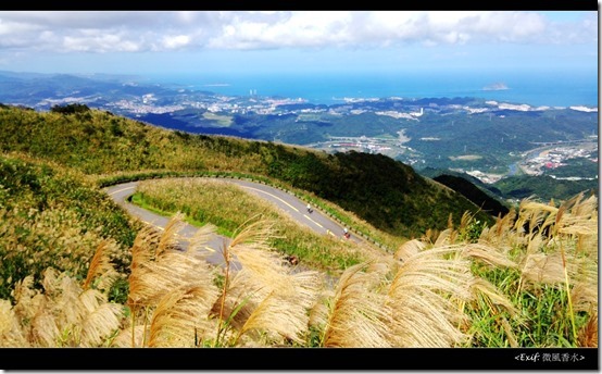 五分山賞芒草步道_21