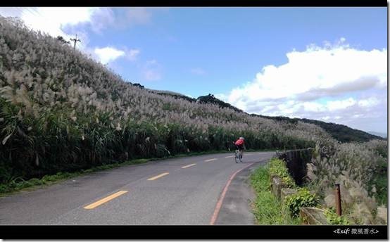 五分山賞芒草步道_05