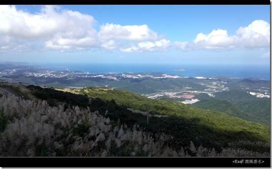 五分山賞芒草步道_13